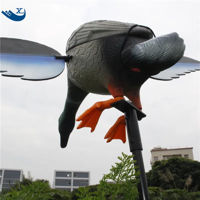 Hunting  Duck (11)