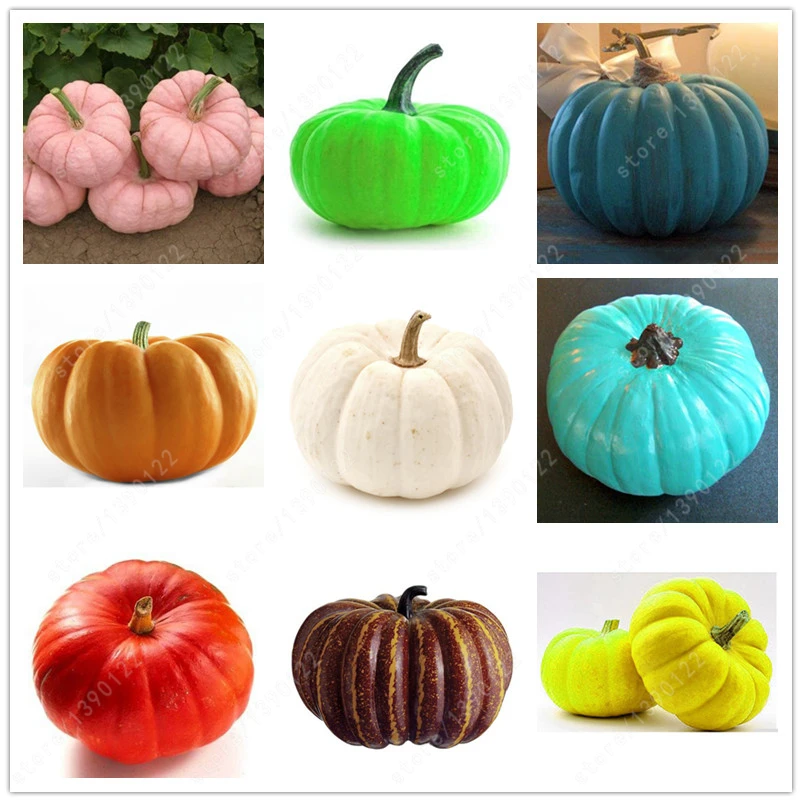 Pumpkin seeds natural viagra