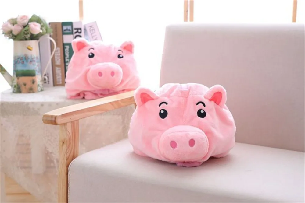 5316810008_305261616