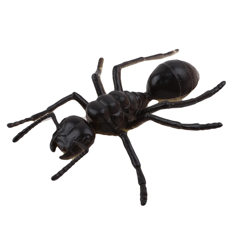 حية البلاستيك نماذج للحيوانات الشكل اليعسوب خنفساء العنكبوت النمل جندب حريش صرصور الكريكيت لعب الأطفال ألعاب الأطفال