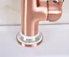 Bathroom Fixture