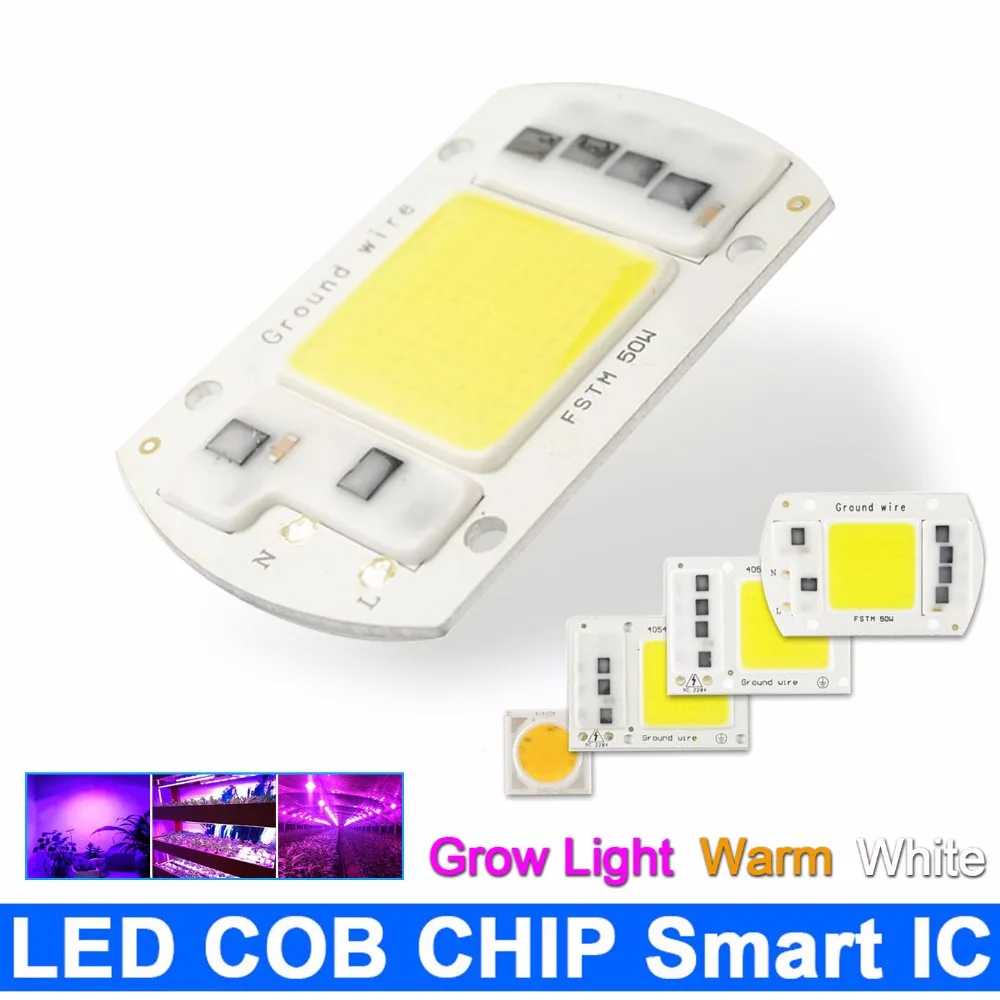 

[DS] 5W~100W Driverless Integrate LED COB Chip Lamp 20W 30W 50W 220V Smart IC For Projector DIY LED Flood Light Warm Cold White