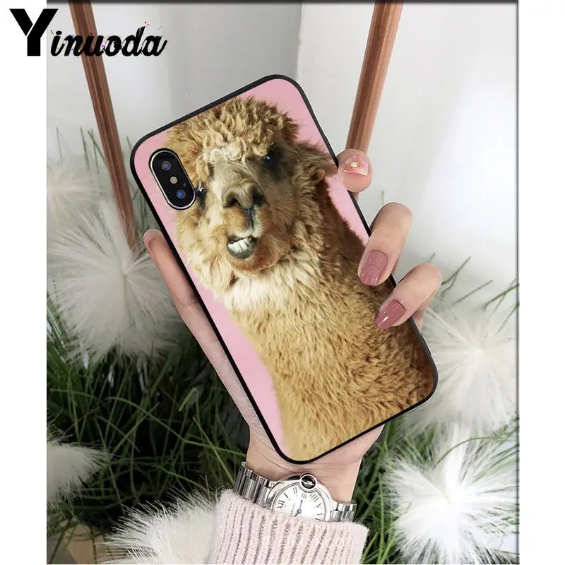 Yinuoda лама Alpacas животное умный чехол черный мягкий чехол для телефона для iPhone X XS MAX 6 6S 7 7plus 8 8Plus 5 5S XR - Цвет: A7