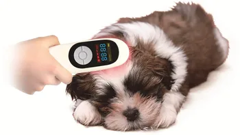 

Lastek Cold Laser For Animals / Dogs / Pets Pain Relieve Pain Management Veterinary Physical Therapy Device