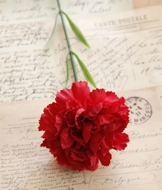 1 шт. DIY свежий искусственный цветок гвоздики Шелковый цветок поддельные растения для Дня матери вечерние украшения дома 7 цветов - Цвет: Red