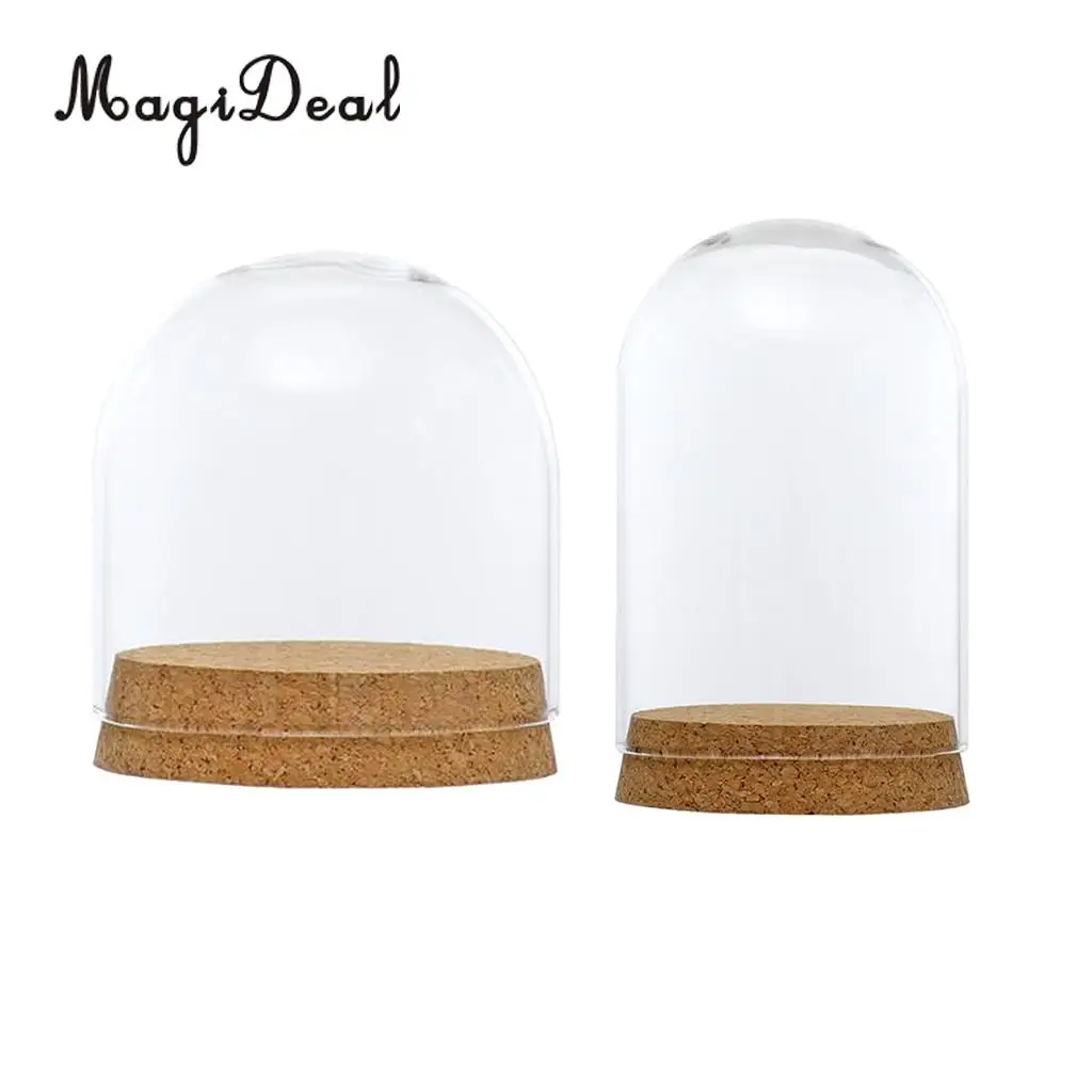 2pcs Clear Glass Display Dome Cover Cloche Bell Jar Succulent Terrariums with Wood Cork for Office Table Decor DIY