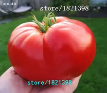 20 Редких Бифштекс Томатный Семена DIY Овощной Бесплатная Доставка