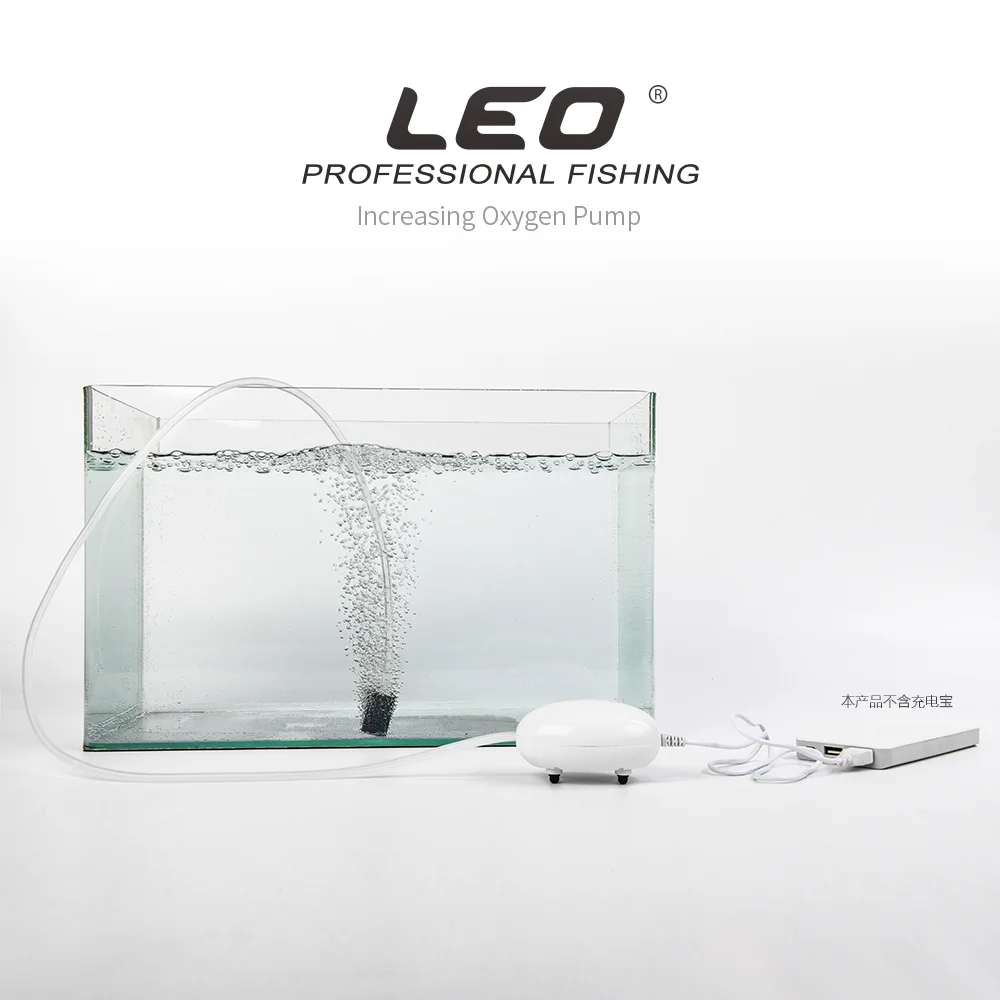 6492093606_2050739421