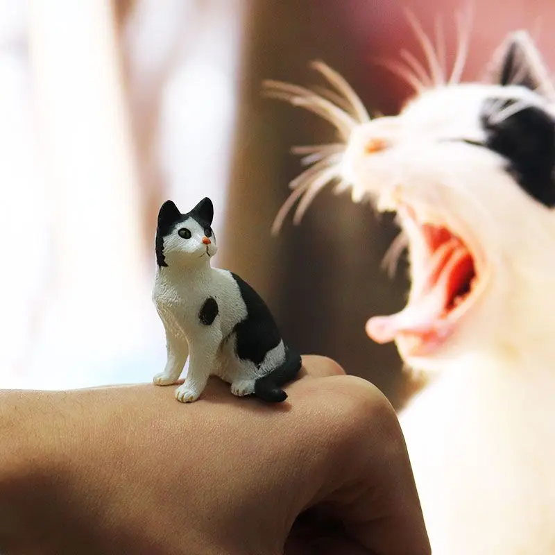 Oenux домашняя птица модель животных кошка фигурка Tomcat Kitty миниатюрная милая для