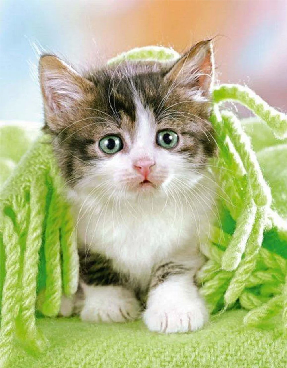 

DIY 5D Diamond Mosaic Cute Cats Handmade Diamond Painting Cross Stitch Kits Diamond Embroidery Patterns Rhinestones