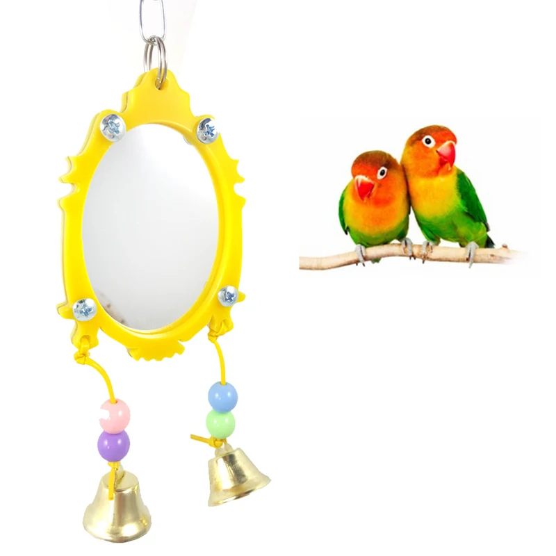 Pet Toy Mirror Fun Toy for Cockatiel Parrots Small Birds Parrot Toy
