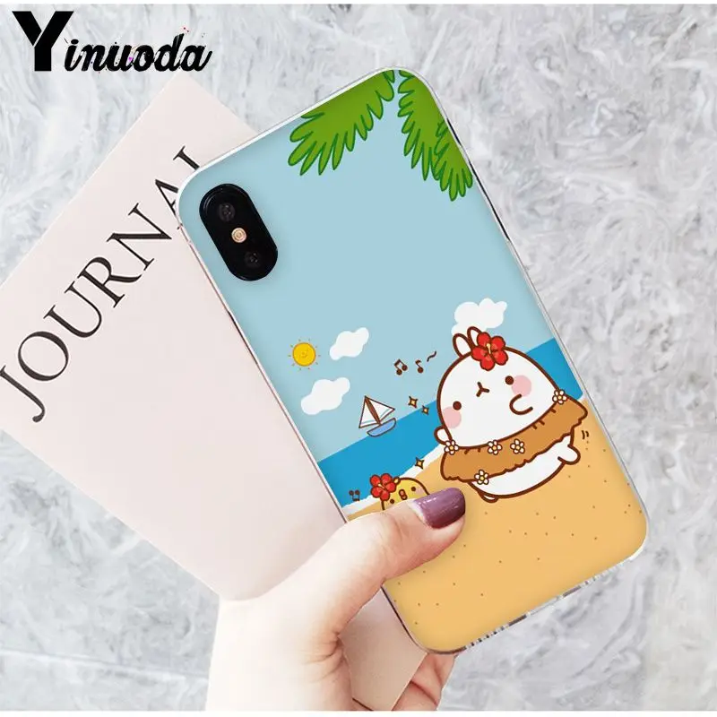 Funny and cute cartoon rabbit