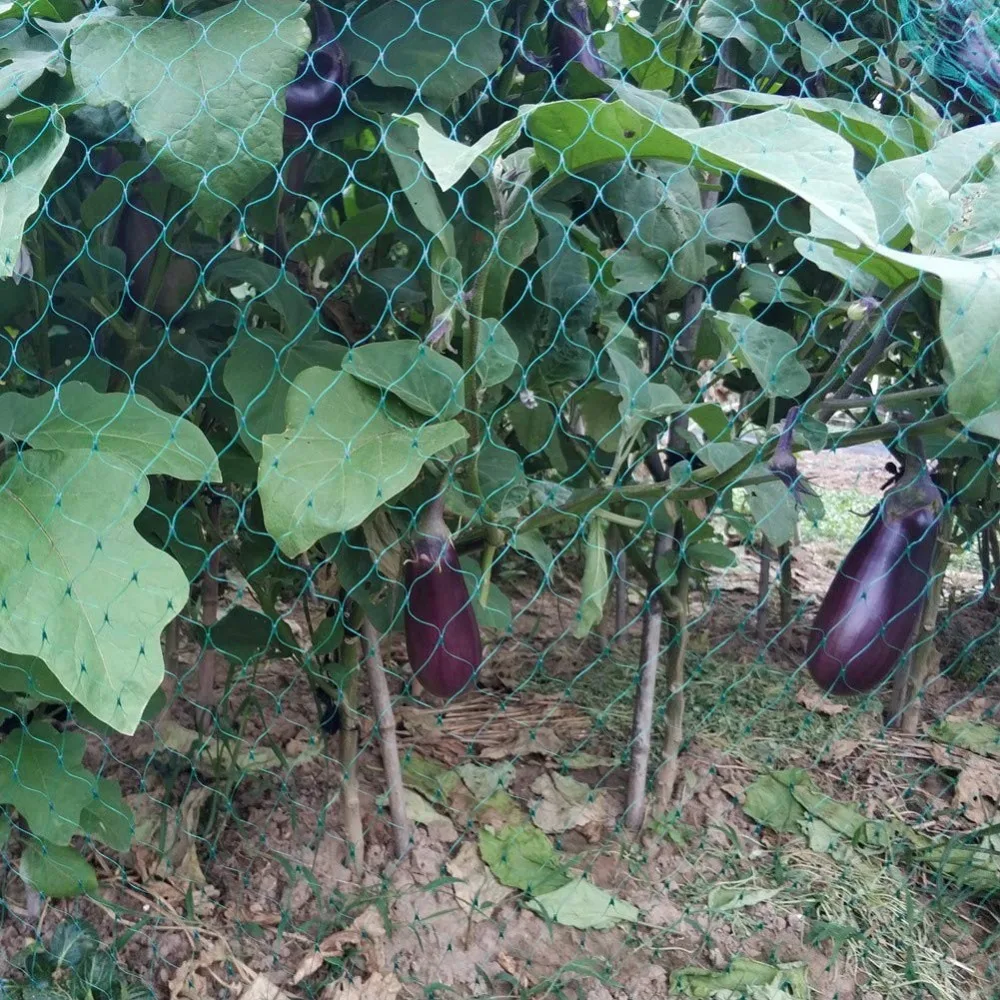 para jardim e plantação, tela protetora antipássaros,