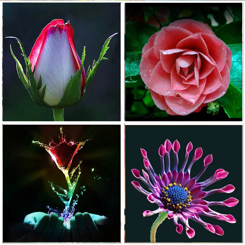 

5D Diamond Painting Full Diamond Red Flower DIY Embroidery Set Mosaic Cross Stitch picture Rhinestone Home Decoration Handmade