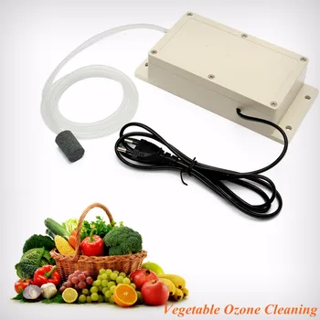 

ABS Ozone Generator 220v 600mg Food Air Sterilizer Water Air Purifier Suitable For A Wide Range Durable Quality