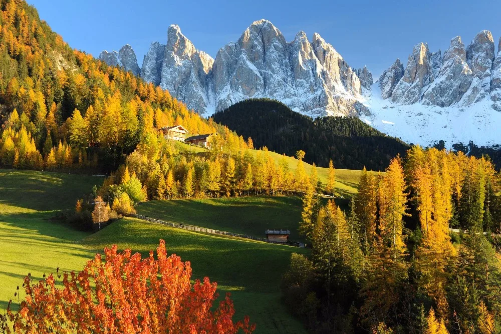 Домашние украшения лес Валь Гардена горы Доломиты осень Италия Луг Альпы