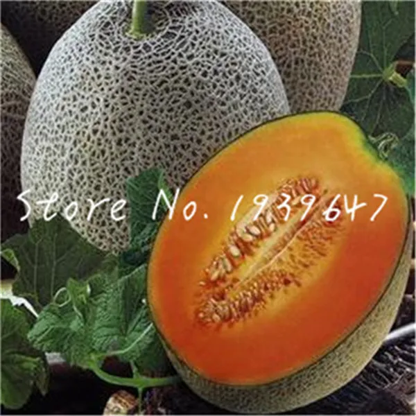 03938B1B50DA0F19397D2EFC6897B464