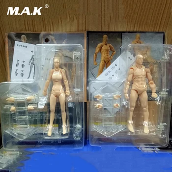 

U.S.A 14.5cm Figma PVC Nude Muscular Body Youth Edition 2.0 Type Female/Male Body Figure Movable Action Figure Collection