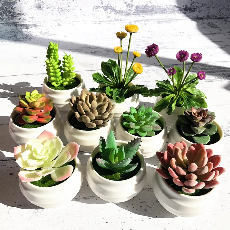 

Lovely Succulent Plant Round Bonsai Artificial Flower Christmas Gift Office Table Decoration Green Plant Free Shipping