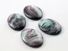 New Fashion 10pcs 18x25mm Black Shell Color Flat Back Resin Cabochons Cameo G7-10 ► Photo 2/2