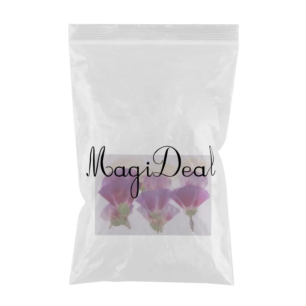 MagiDeal 12x Pressed Real Godetia Flower Dried Flowers DIY Phone Case Scrapbook Craft Artificia Flowers for Wedding Invitations