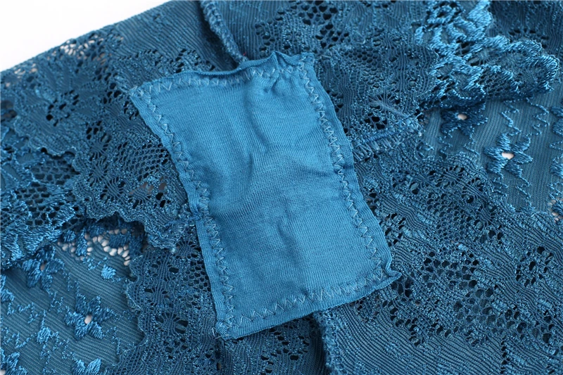 Fashion Women Underwear Sexy Lace Transparent Low Waist Hollow T Back Panties Lady Briefs Panties Hot (9)