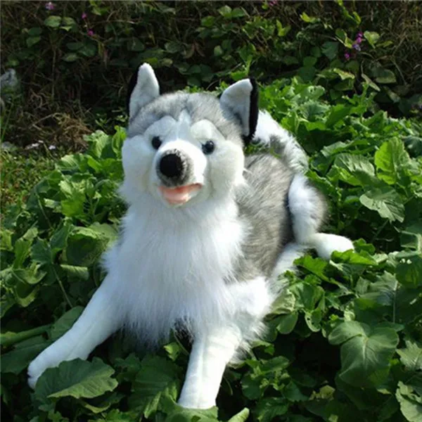 Fancytrader 55cm New Hot Big Simulated Animal Husky Dog Plush Toy 22'' Stuffed Soft Emulational Dog Doll Children Gift
