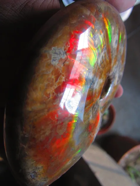 Best Offers 431g(0.94 lb) Iridescent Ammonite Ammolite Specimen Fossil Madagascar BFB1231