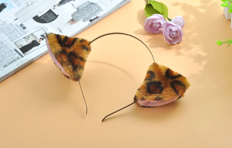  (5)