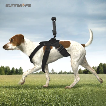 

Gimbal Camera Pet Dog Chest Band Strap Holder Belt for DJI OSMO POCKET & GOPRO Accessories
