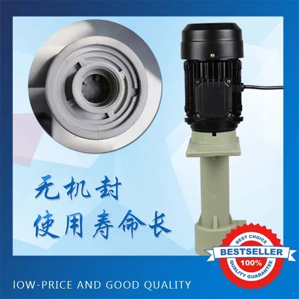 

220v50hz Chemcial Vertical Resistant Submerged Pump 120W Small Circulating Pump