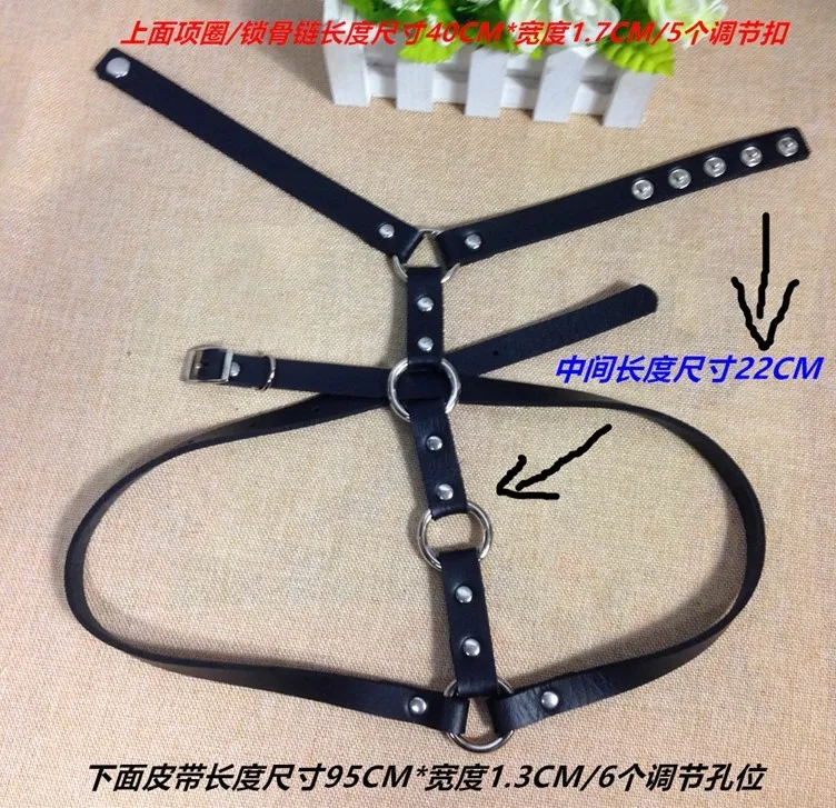 3055433672_1752587909