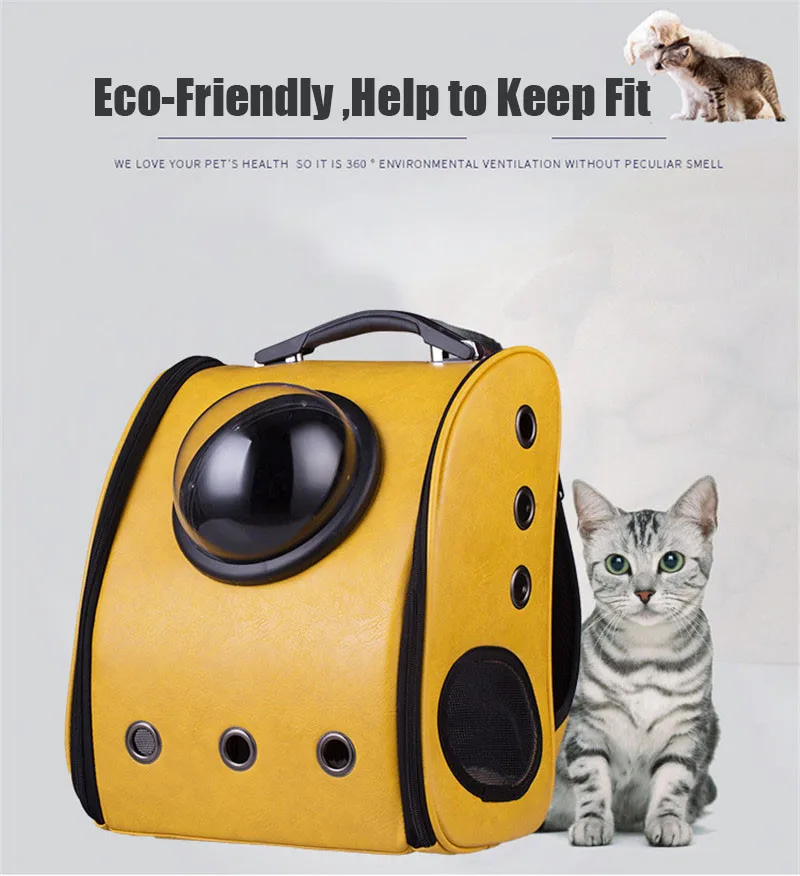 TB2aSX5tVXXXXafXXXXXXXXXXXX_!!435165544