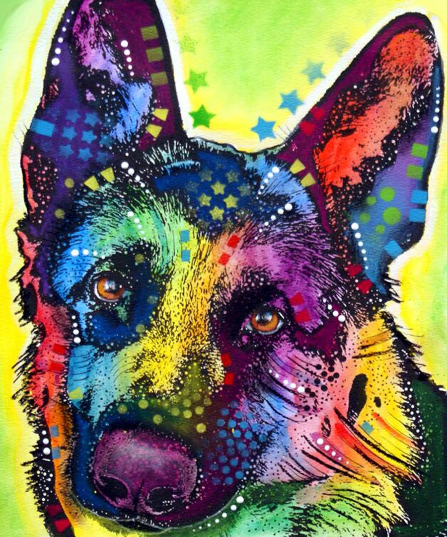 50x60 (25)
