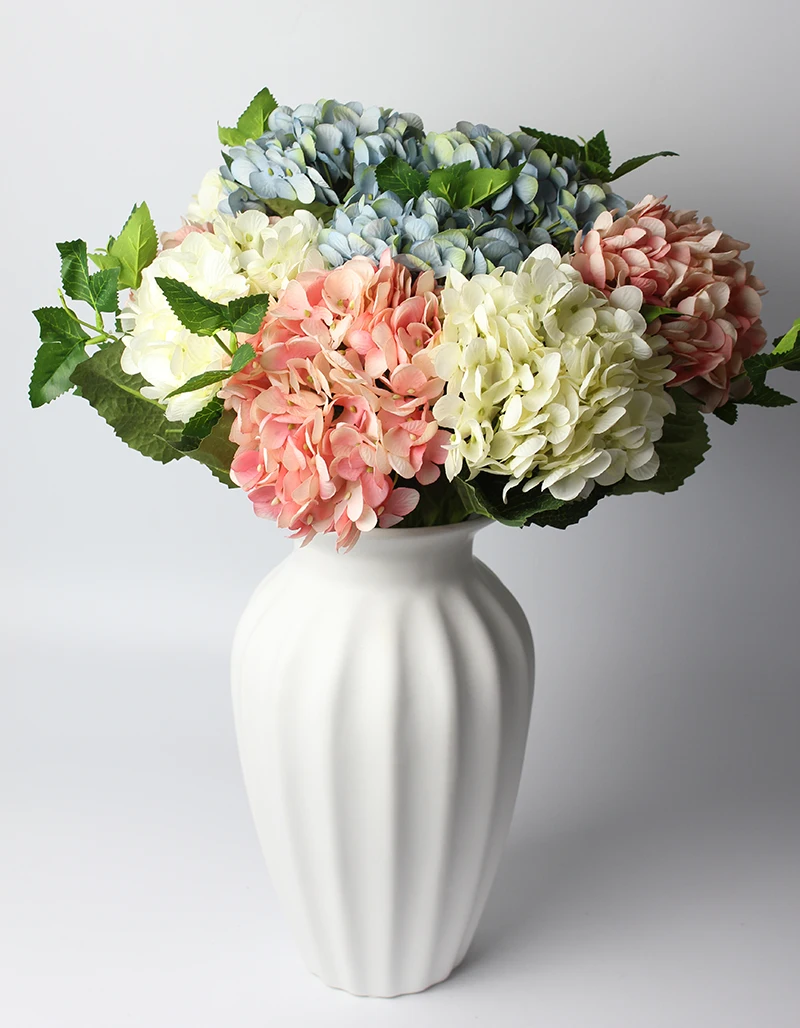 4white3pink3light-blue