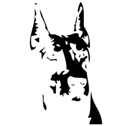 9*15,2 см Доберман для любителей собак наклейки с животными личности Аксессуары для мотоцикла и автомобиля черный/Серебряный C6-0980
