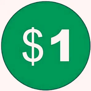 

Extra Fee/cost just for the balance of your order/shipping cost
