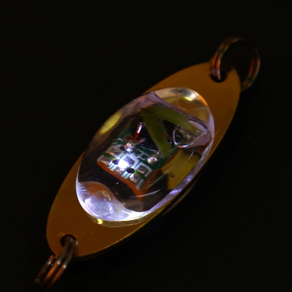 Buy High Simulation LED Light Fishing Lures Deep Drop