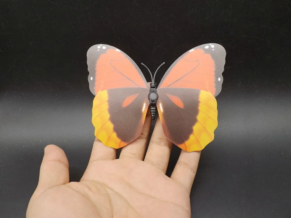 I227-Butterfly (4)