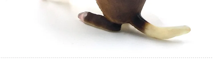 -2-DW-M-LP433-546_17