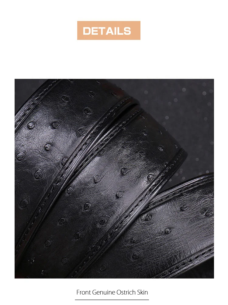 9394457824_478116919_01