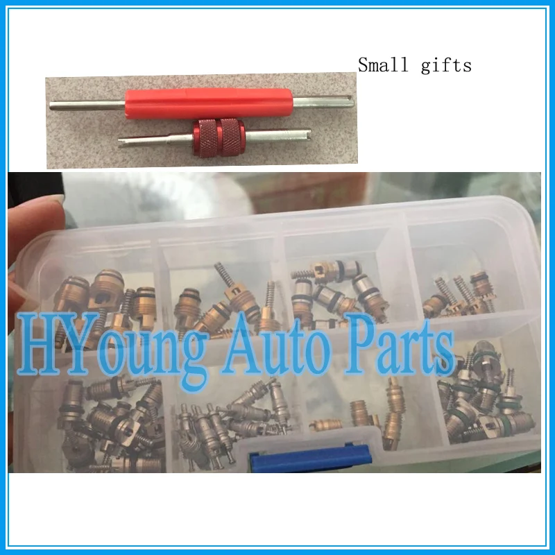 

Auto parts Air Conditioning R134a A/C High&Low Pressure Valve Core Cores Assortment with Two Valve Core Tools