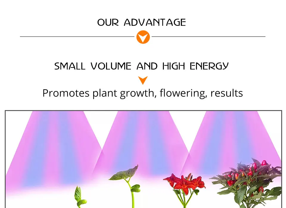 grow led cob chip (6)