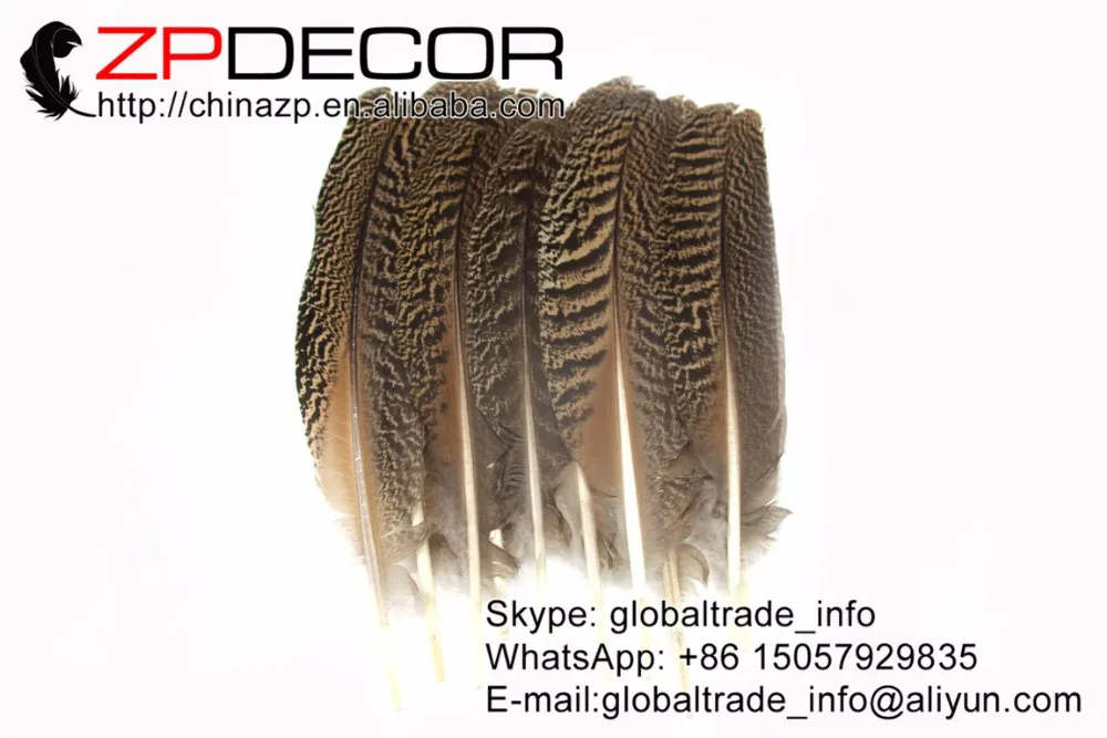 Natural Barred Mottled Peacock Wing Quills (3)