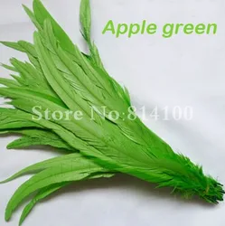 Natural Brown Rooster Tail Feather Accessories for DIY and Performance (Apple green)