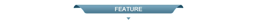 Feature