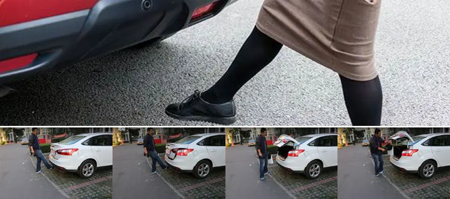 Foot