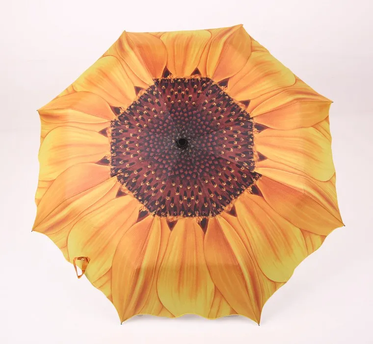 1409088675_1091272507