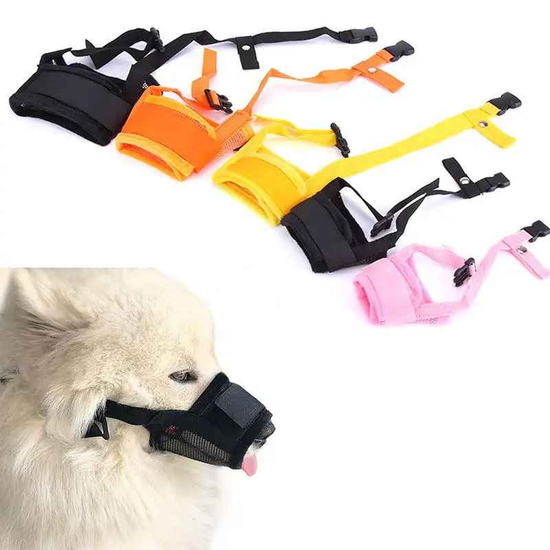 muzzle training puppy muzzle training puppy