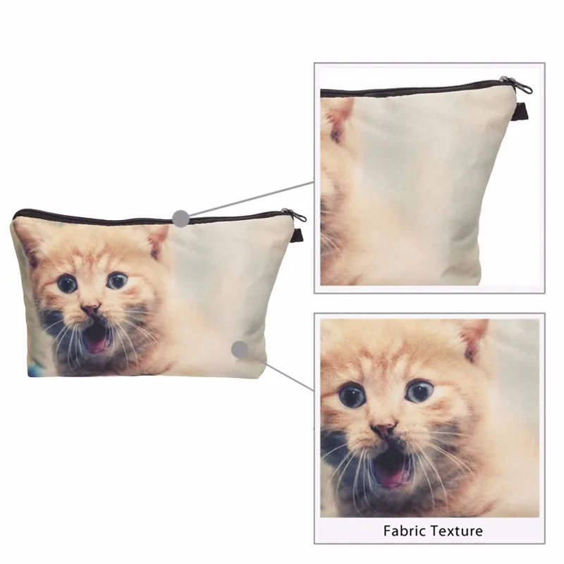 36955 kitten2 006